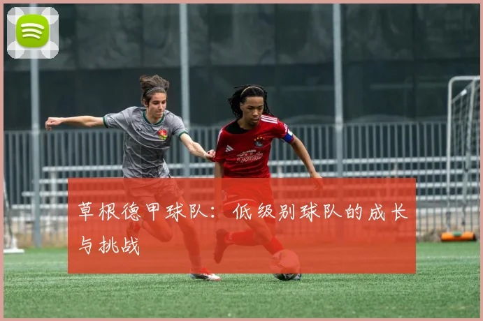草根德甲球队：低级别球队的成长与挑战