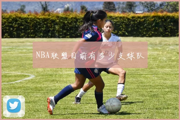 NBA联盟目前有多少支球队