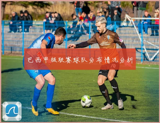 巴西甲级联赛球队分布情况分析