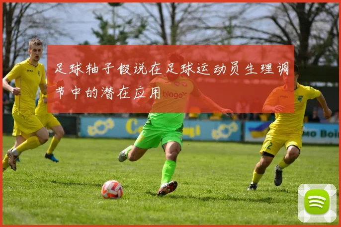 足球轴子假说在足球运动员生理调节中的潜在应用